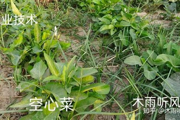 开封市批发市场有哪些