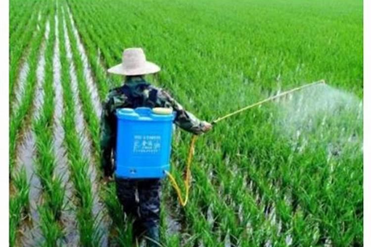 给果树叶面补钙,用什么钙最好