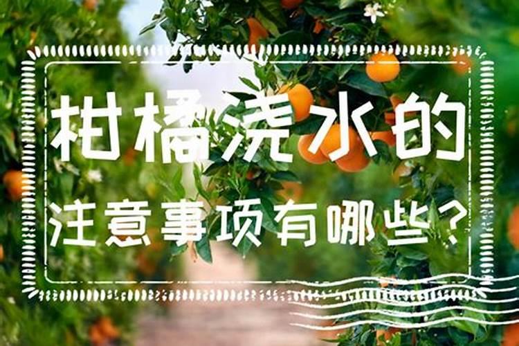 柑橘施肥时间表
