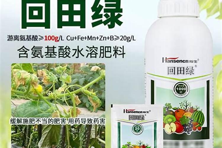 黄瓜豆角几月份种植合适