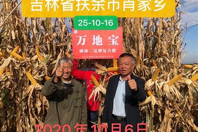 鱼蛋白肥料的功效与作用