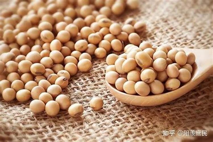 黄豆什么时候可以施肥