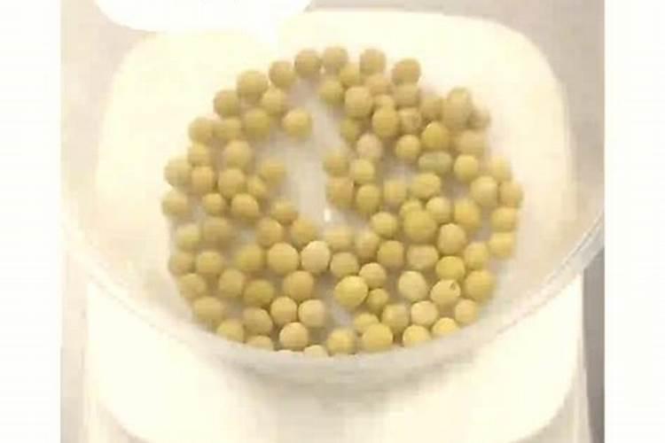 黄豆种子要一天要多少肥