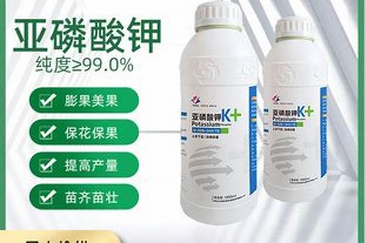 安鲜脂加磷酸二氢钾用在沃柑上起什么作用？