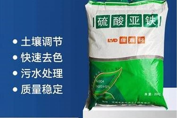 三角梅里浇多了硫酸亚铁后叶子下垂怎么办？
