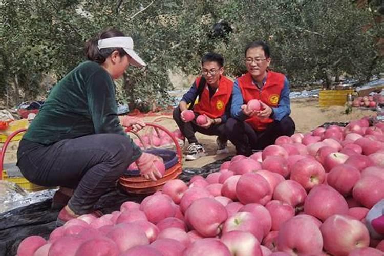 哪家厂家生产的葡萄专用叶面肥效果最好？