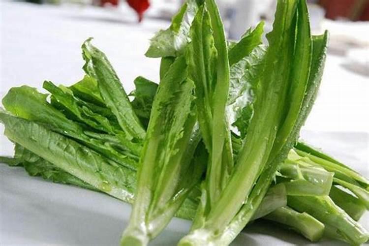 贡菜是什么菜做的