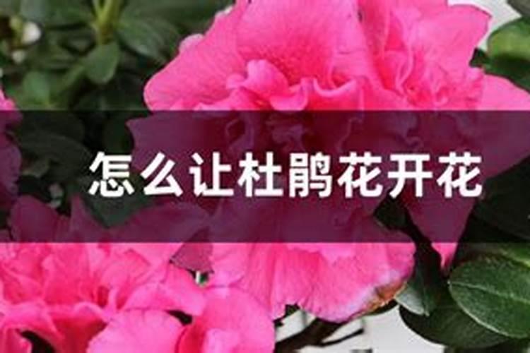 氮肥如何来正确的使用