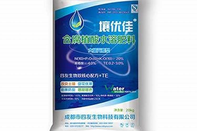 金豆几月份开花结果