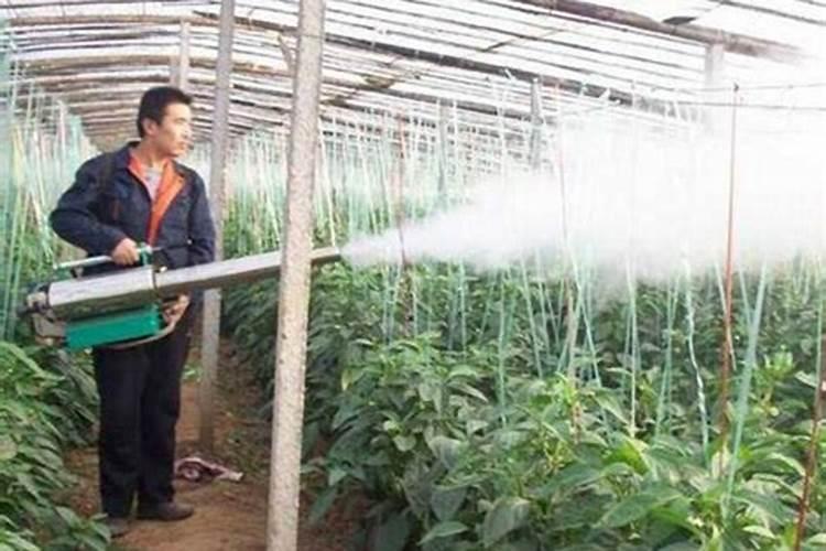 花生叶面肥自己怎么配