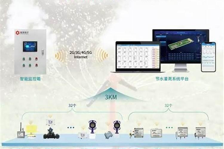 蓝莓施什么肥好？