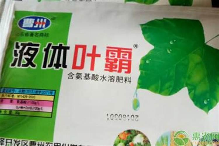 氨基酸在肥料中有什么作用呢？