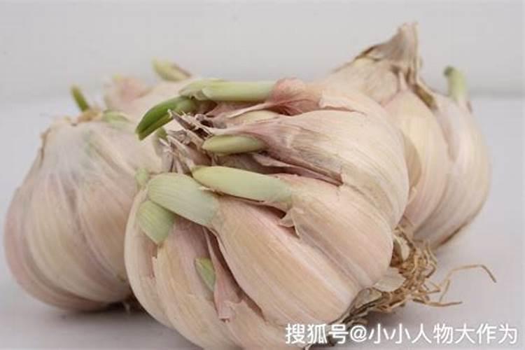 大蒜浇水用了硫酸钾复合肥过几天用氯胆萘乙酸好？