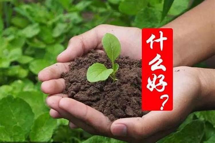 一亩地用多少硼肥