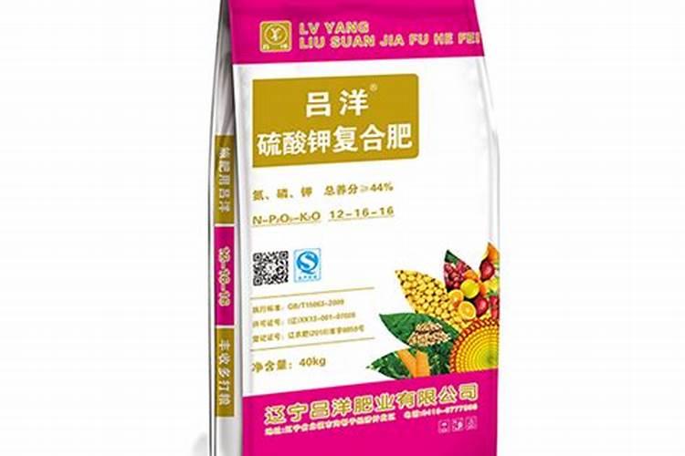 插花需要在水里放什么