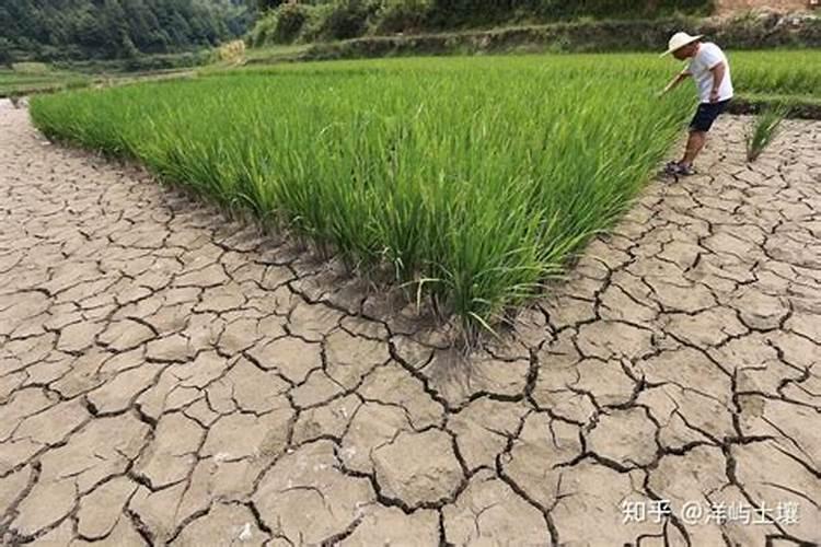 分解土壤肥力的方法