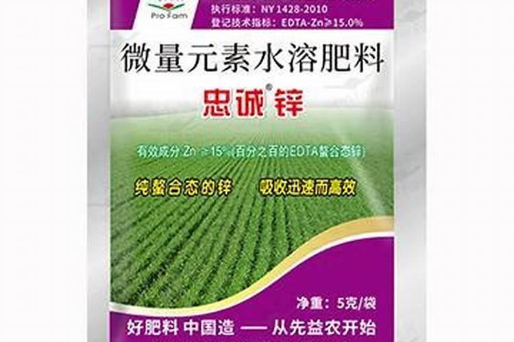 花菜种植时间和方法 花菜种植时间和方法是什么