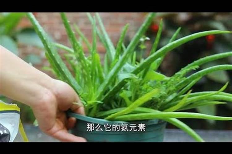 磷酸二氢钾是什么肥料