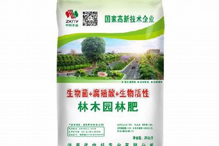 碧玉多久喷一次水 碧玉绿植多久需浇水？