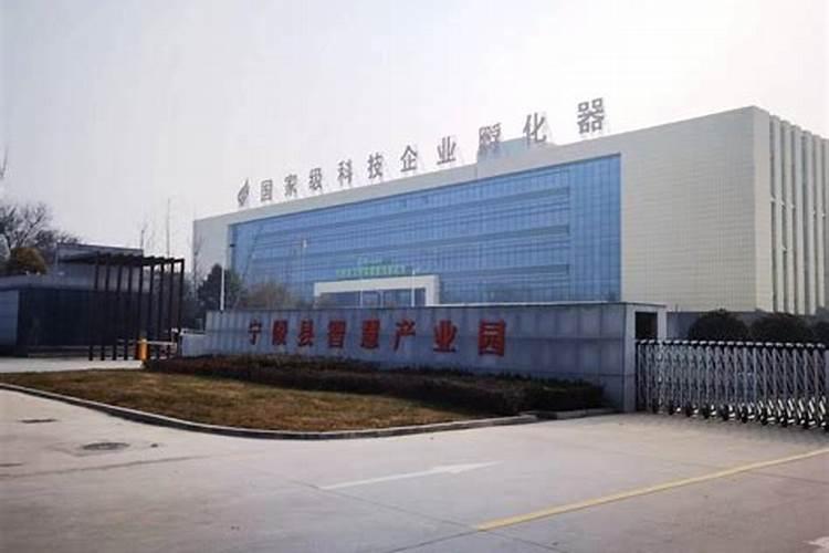 种大蒜大蒜需要什么什么微量元素