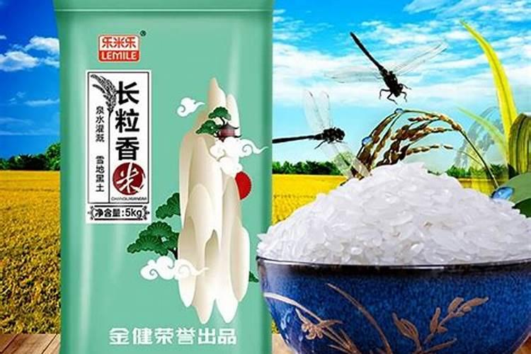 田间甘蔗种植一般从什么开始？