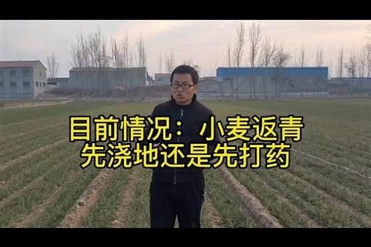 小麦在什么时间浇水最好呢？化肥怎么用最合理？
