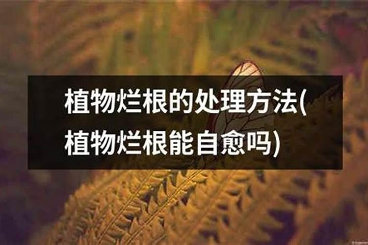 贵州磷化集团是国企吗？