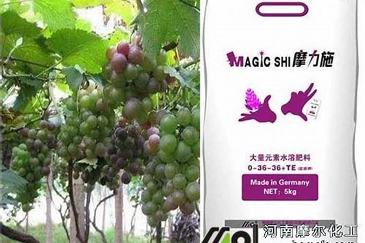 葡萄最怕三个肥料