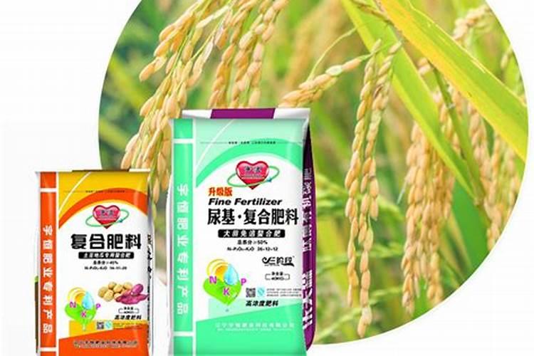 氮肥在植物上的作用和功效