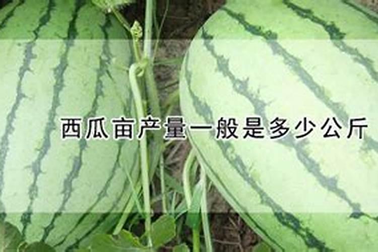 大豆叶面肥喷施注意事项 大豆怎么施肥好