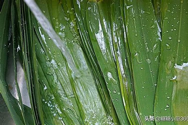 长寿花枝插移栽后施什么肥？