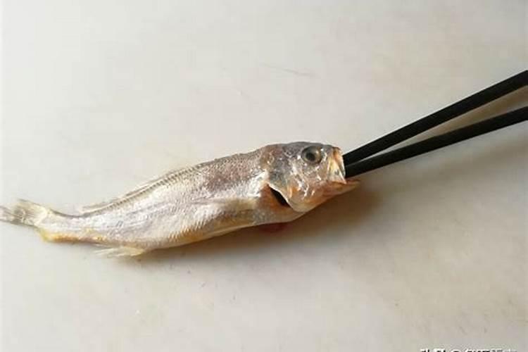 鱼蛋白放多了会烧根吗