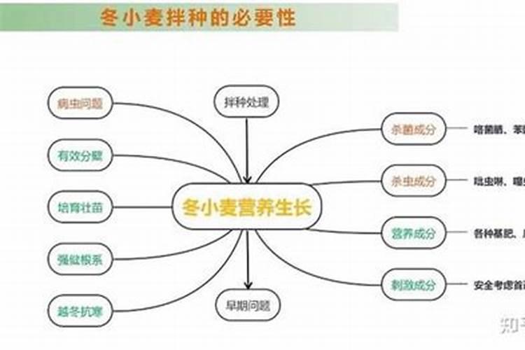 兰花翻盆后多久浇水 兰花翻盆后需要几天浇水