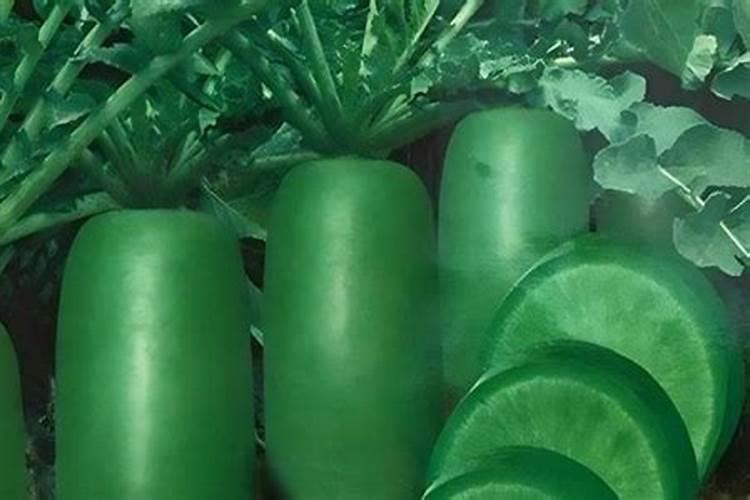 都知道小米椒特别辣,你一次能吃几个小米椒？