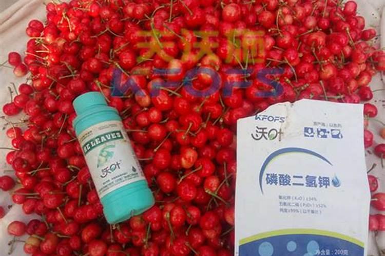 种植了百香果,如果它不开花应该用什么催肥呢？