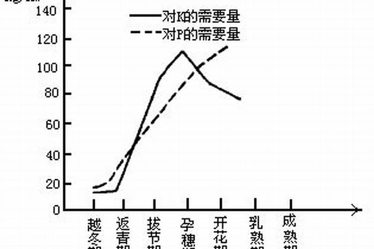 栀子花黄叶,烂叶是怎么了？