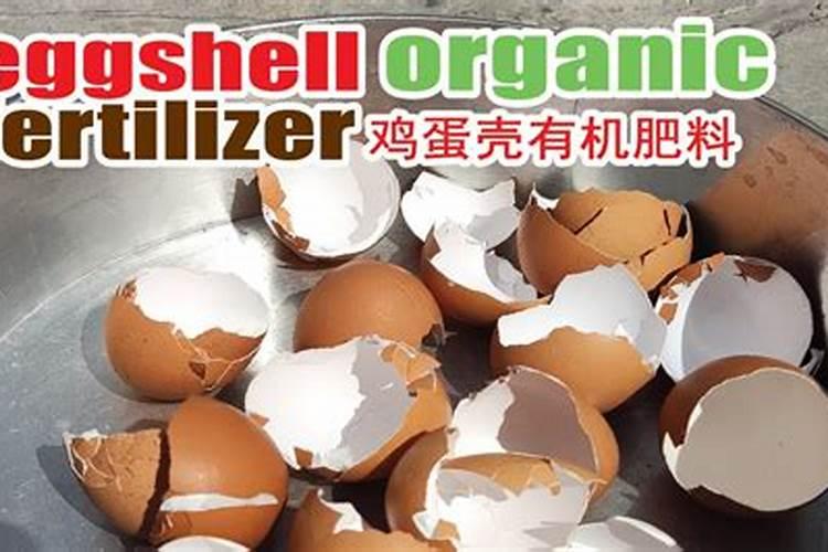 鸡蛋壳怎么做肥料