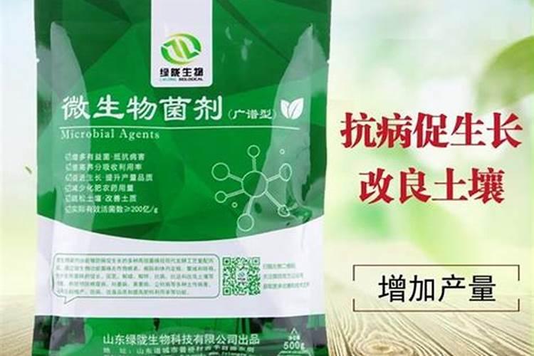 小麦杨花期用芸苔素好还是用胺鲜酯好？