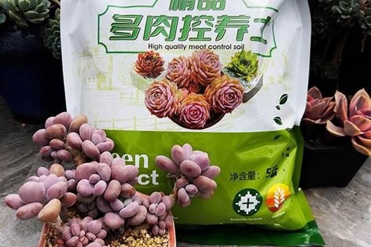 多肉缓释肥和控释肥有什么区别？