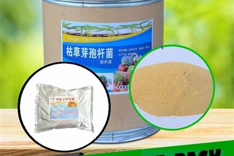 果树生根促根用什么效果最好？