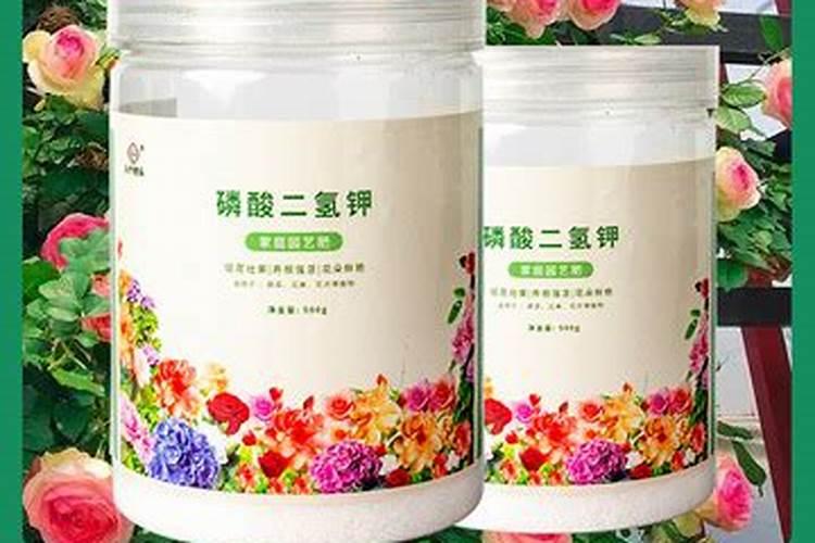 盆栽柠檬树叶子发黄怎么办？检查是不是这七个原因引起的!