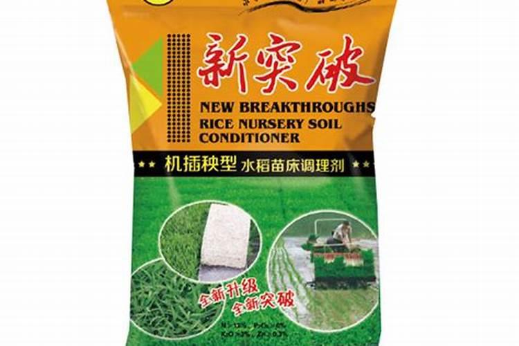 水稻苗床脱肥怎么办？