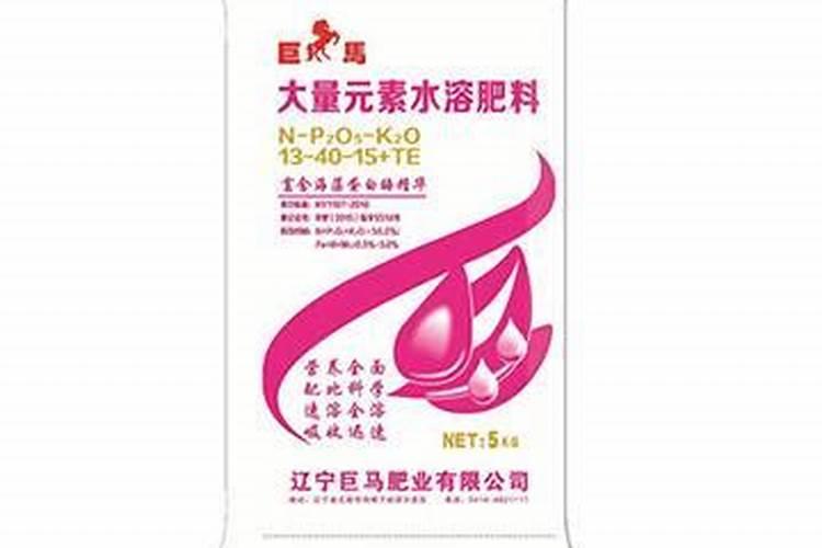 朱顶红怎么催根