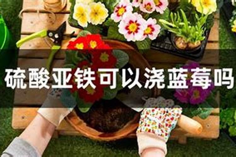青帝的意思是什么