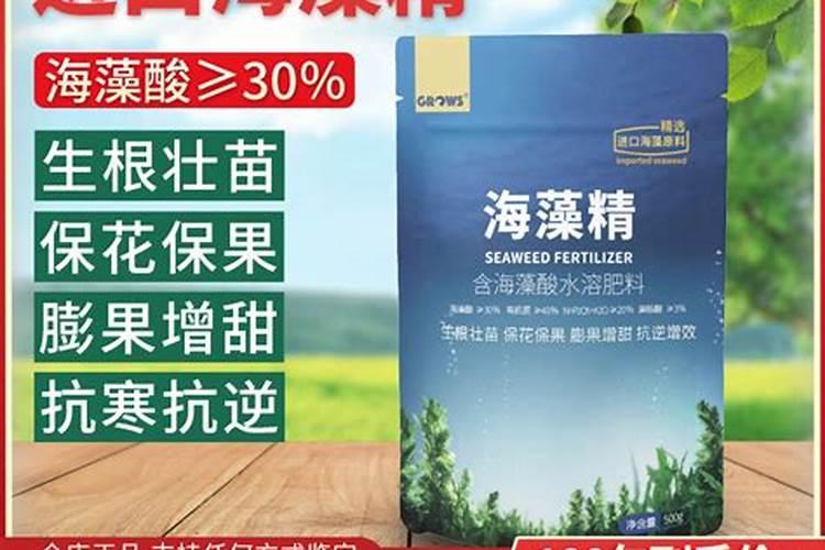 花叶上喷什么叶子油亮