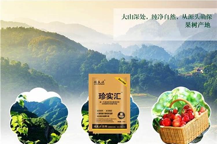 牡丹花春天怎么浇水