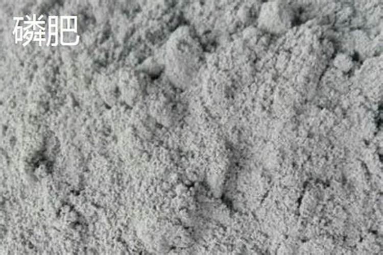磷肥氮肥尿素复合肥的区别
