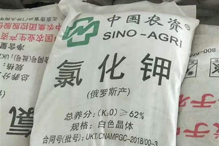 枣树几月份施钾肥好 什么时候施加效果好