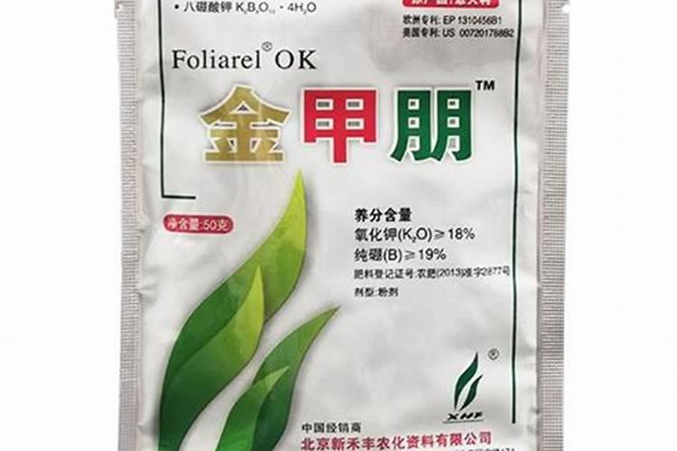 怎样防止水稻品种混杂