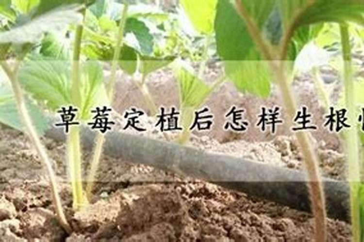 桂林市正容电气有限公司怎么样？